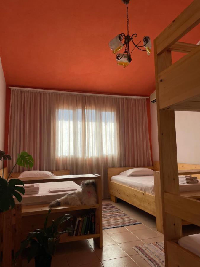 Cozy Big Apartment With Balcony Тирана Екстер'єр фото