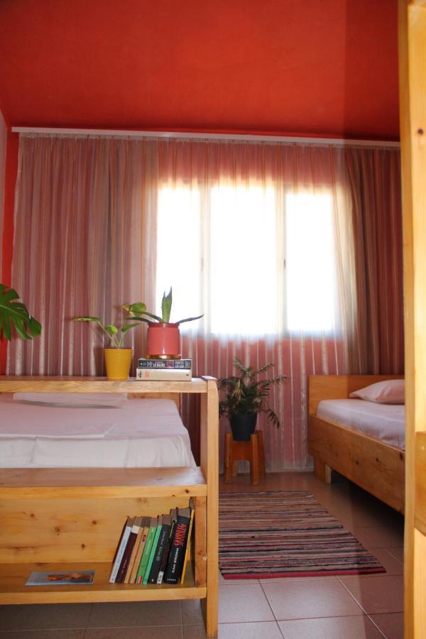 Cozy Big Apartment With Balcony Тирана Екстер'єр фото
