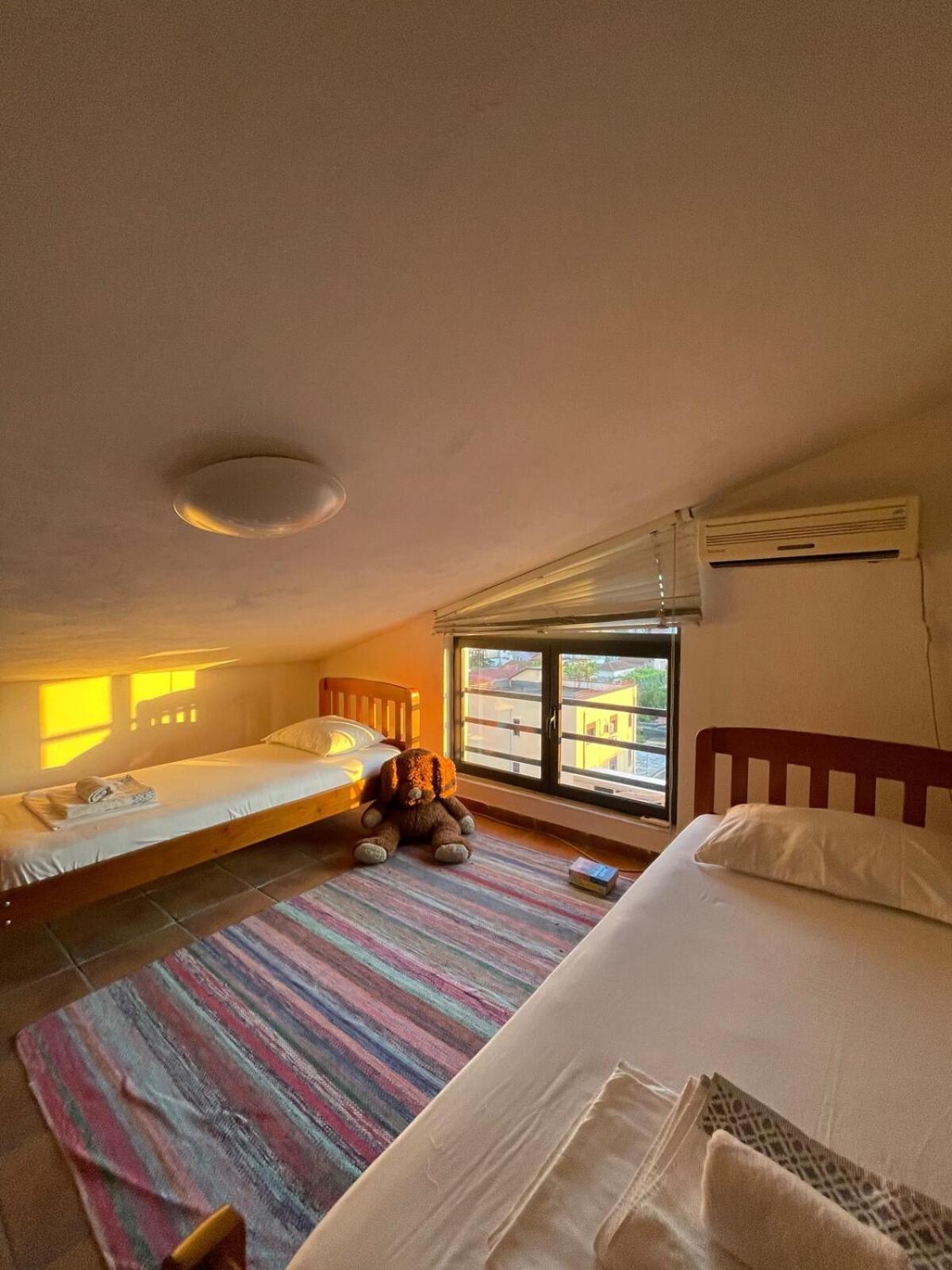 Cozy Big Apartment With Balcony Тирана Екстер'єр фото
